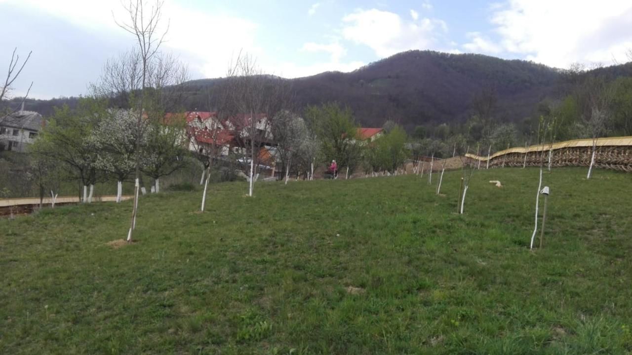 Гостевой дом Pensiunea Valea Branzei Năneşti-20