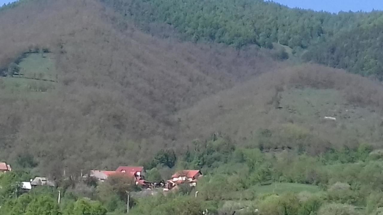 Гостевой дом Pensiunea Valea Branzei Năneşti-36