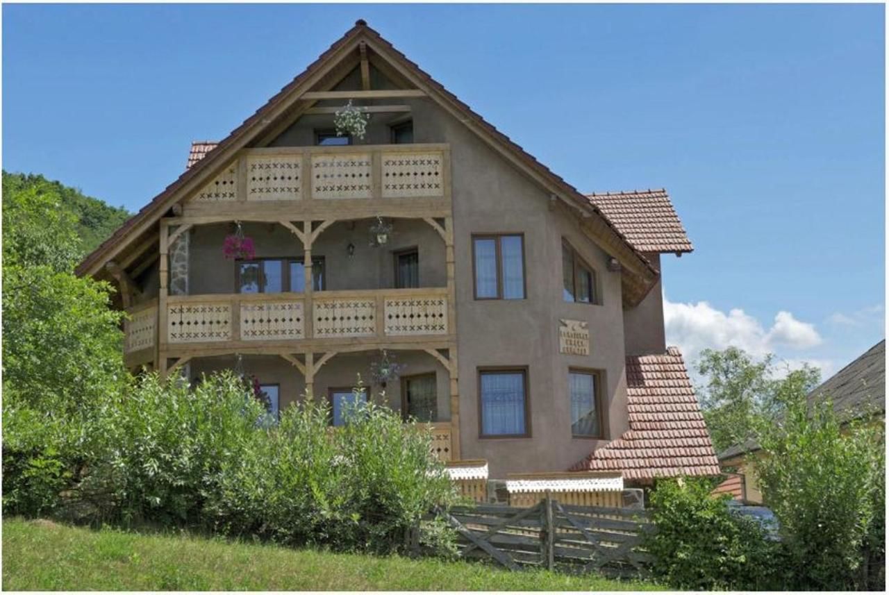 Гостевой дом Pensiunea Valea Branzei Năneşti-37