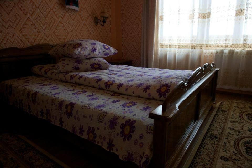 Гостевой дом Pensiunea Valea Branzei Năneşti