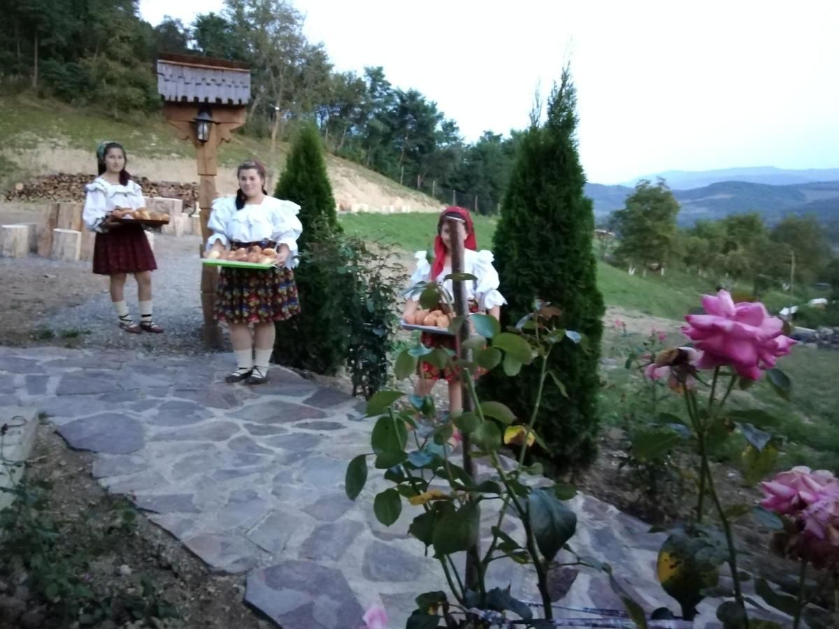 Гостевой дом Pensiunea Valea Branzei Năneşti-9