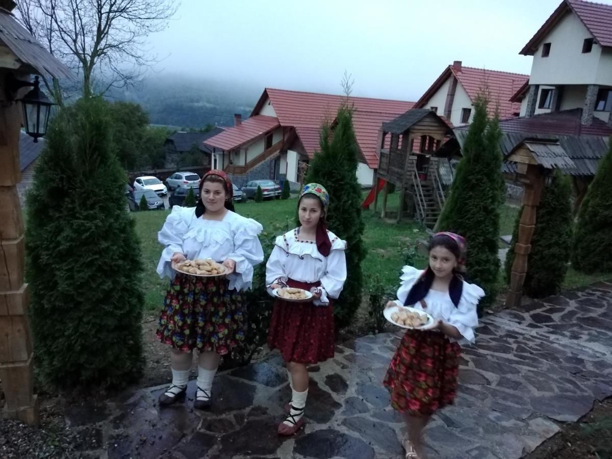 Гостевой дом Pensiunea Valea Branzei Năneşti-11